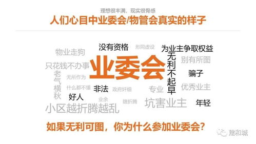 物业条例实施一周年 业委会与物管会如何协同发挥作用提升物业管理水平